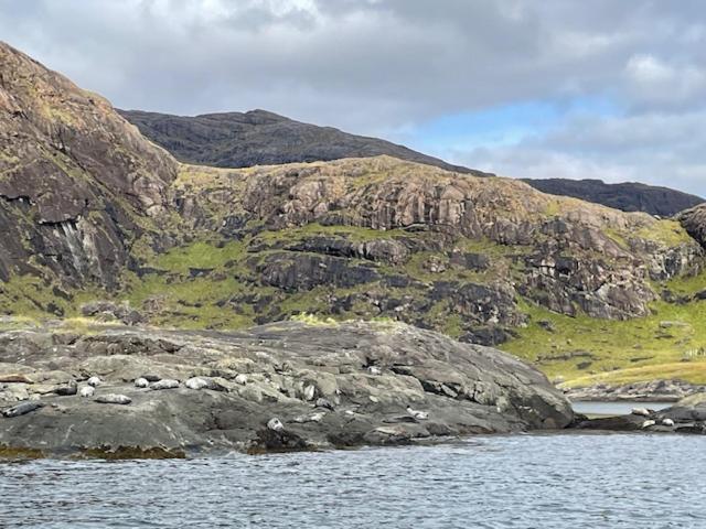 Waterfall View Milovaig Exterior foto